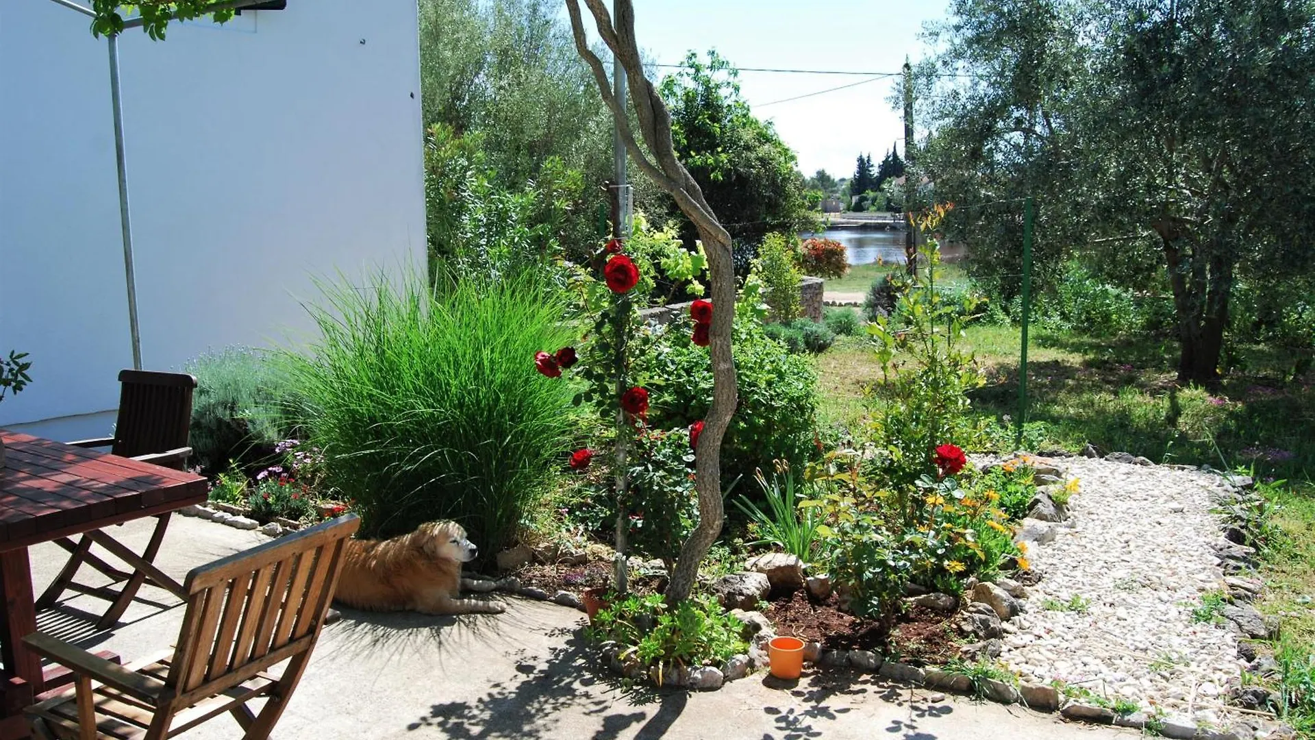 Rustic Holiday Home Miketa Lukoran Croacia