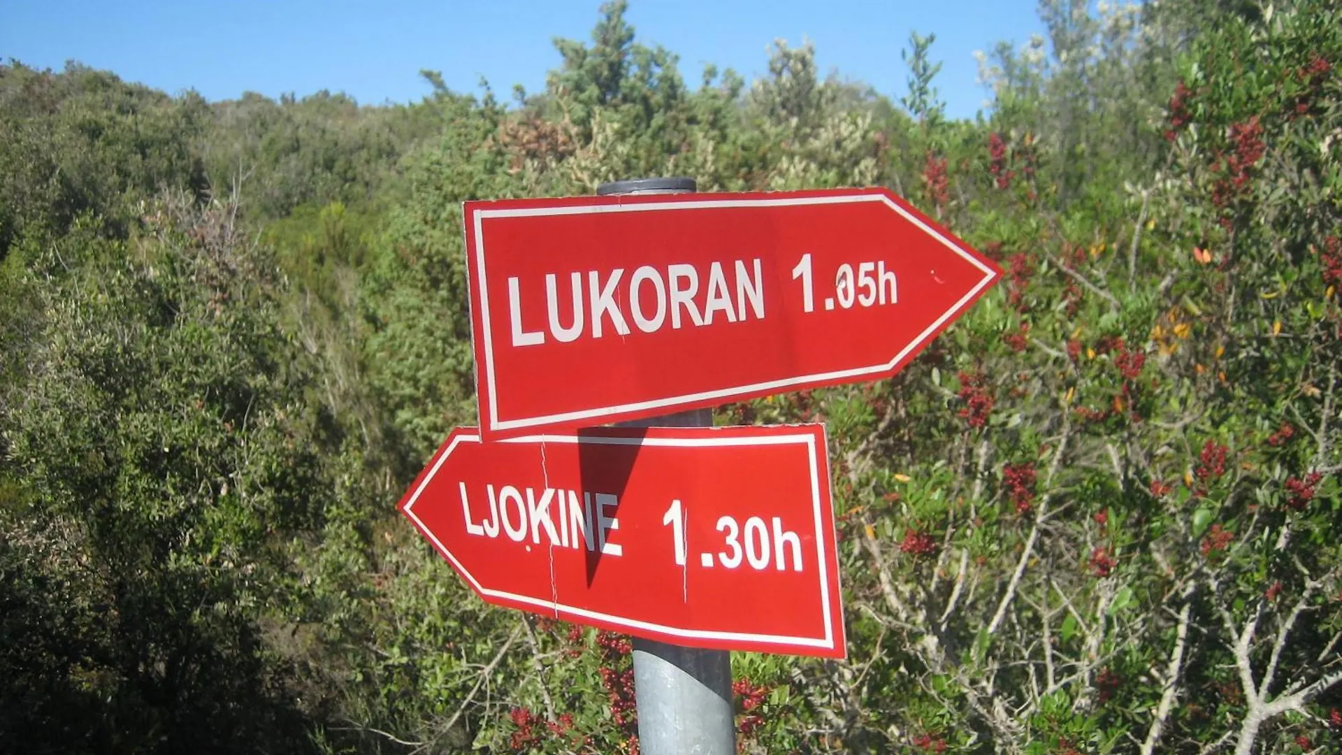 Rustic Holiday Home Miketa Lukoran