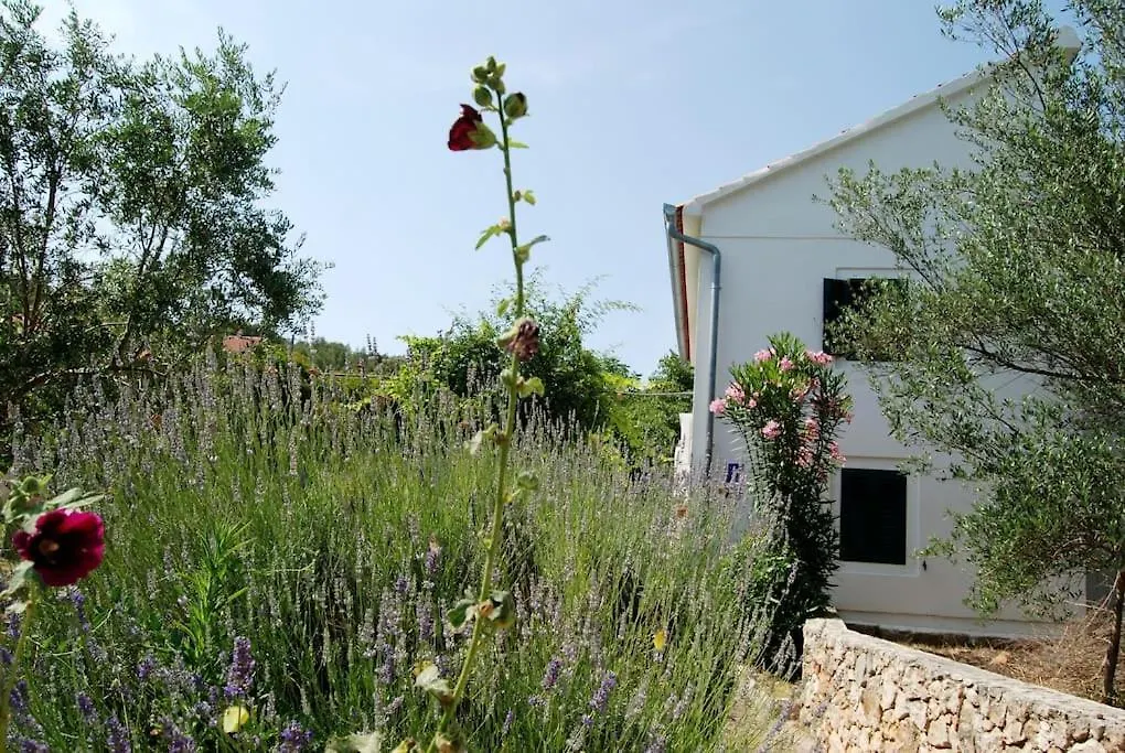 Rustic Holiday Home Miketa Lukoran 0*,  Croazia